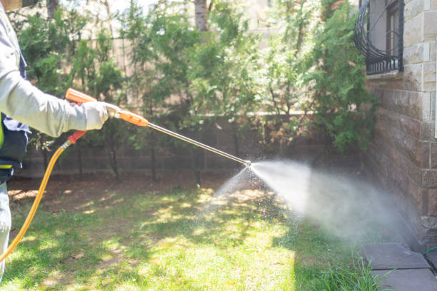 Best Cockroach Control  in Trail Creek, IN